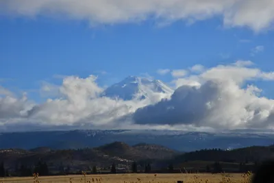 DSC_5886 (Large).JPG